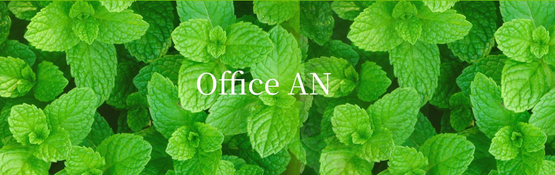 Office AN